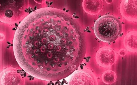 �������˻��Ⱦ���̲��� ȫ����û�б�������Ⱦ���̵�